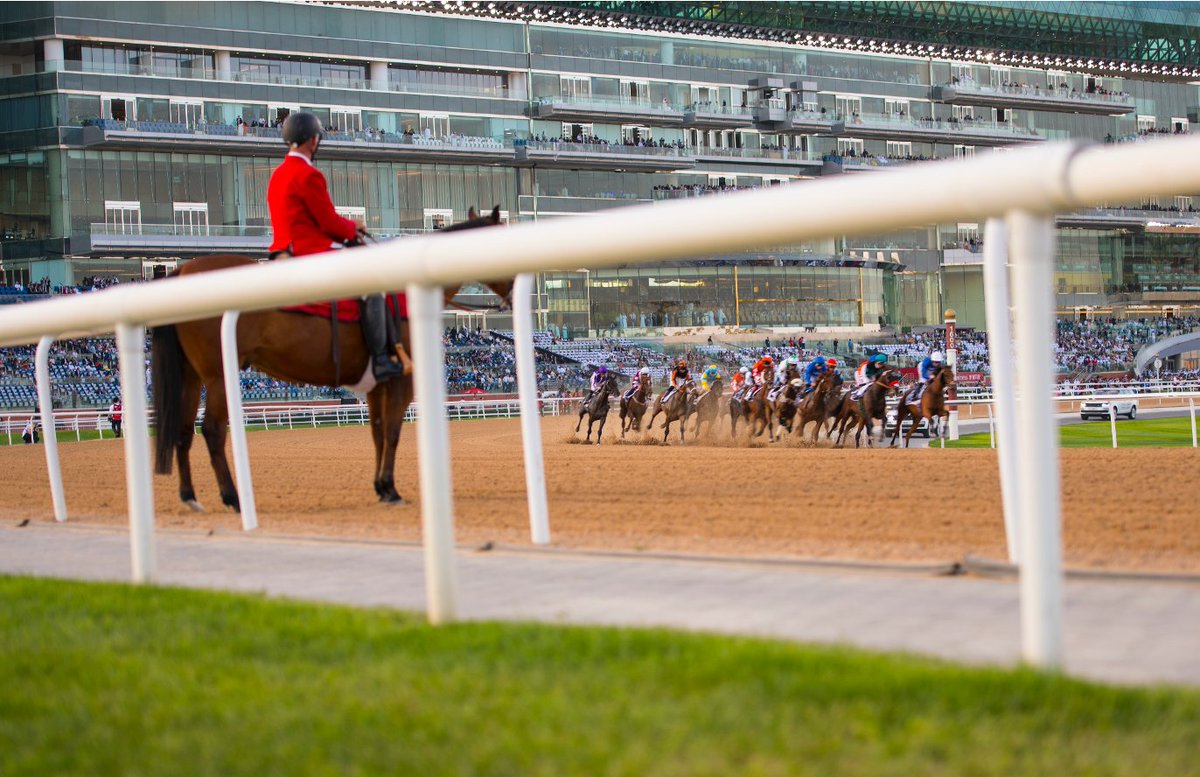 DubaiWorldCup's tweet image. A different perspective on race day.

#DubaiWorldCup #MeydanRacing #TryDifferent