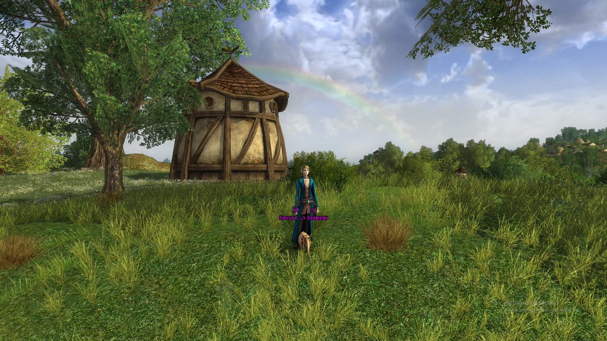 hlburkewriter's tweet photo. #ElfUpdate picking flowers in the Shire tonight #Lotro https://t.co/NqCq459Fl5