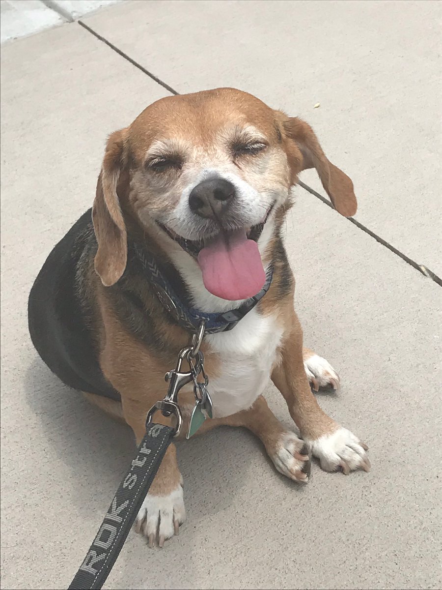 Minadora Macheret tweet media