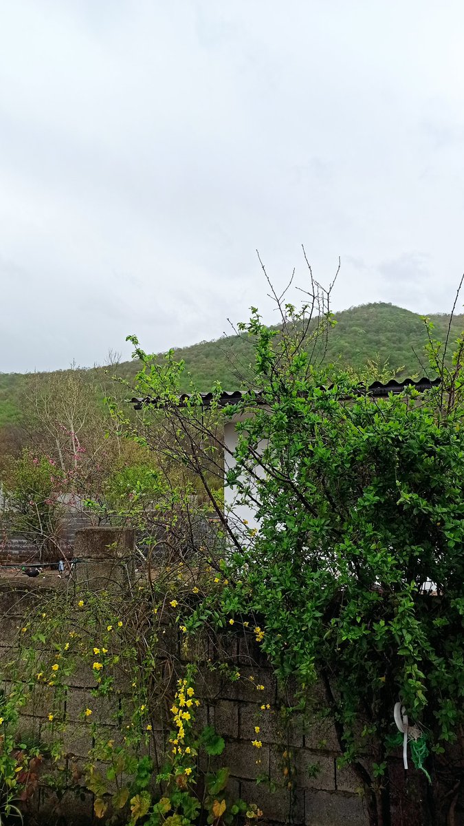 mohammad_ch1370's tweet image. جون سالم به در بردیم و شد این💚