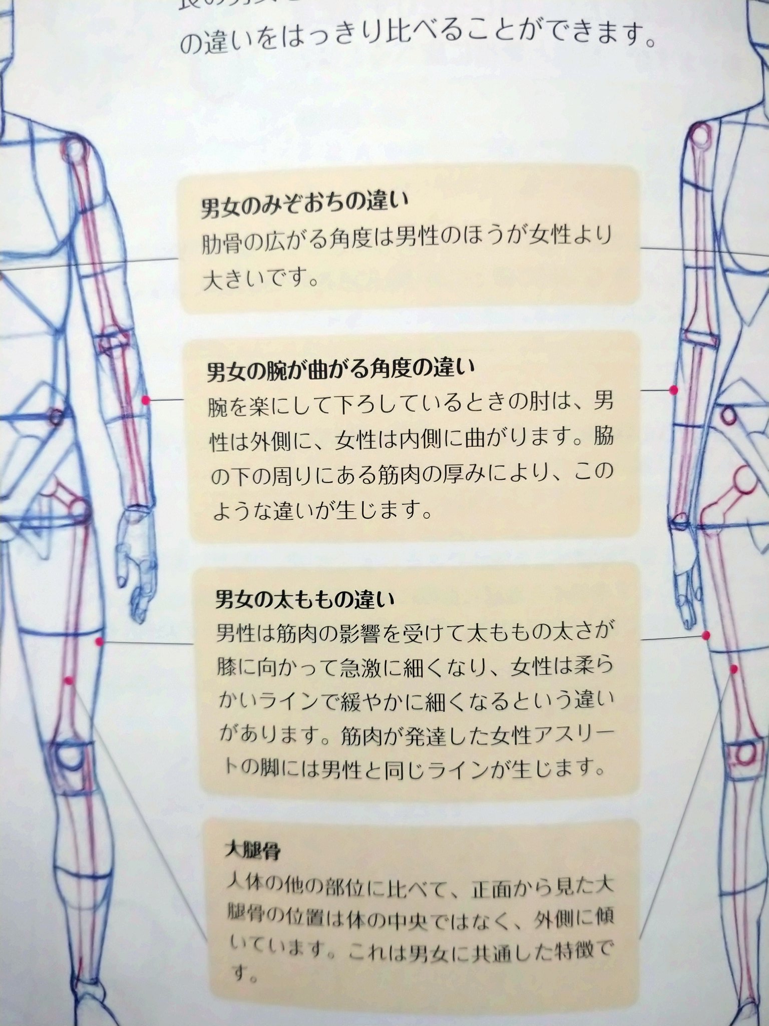 تويتر ばっっこ على تويتر キムラッキの人体ドローイングを読んでいる 年配の女性や肥えている人が腕をブンブコ横向きに振るの不思議だったんだけど この筋肉の厚みと腕の肉付きに関係あるのかなーと思った 私は糞マッチョなので縦に振る T Co Ah642yh9bt