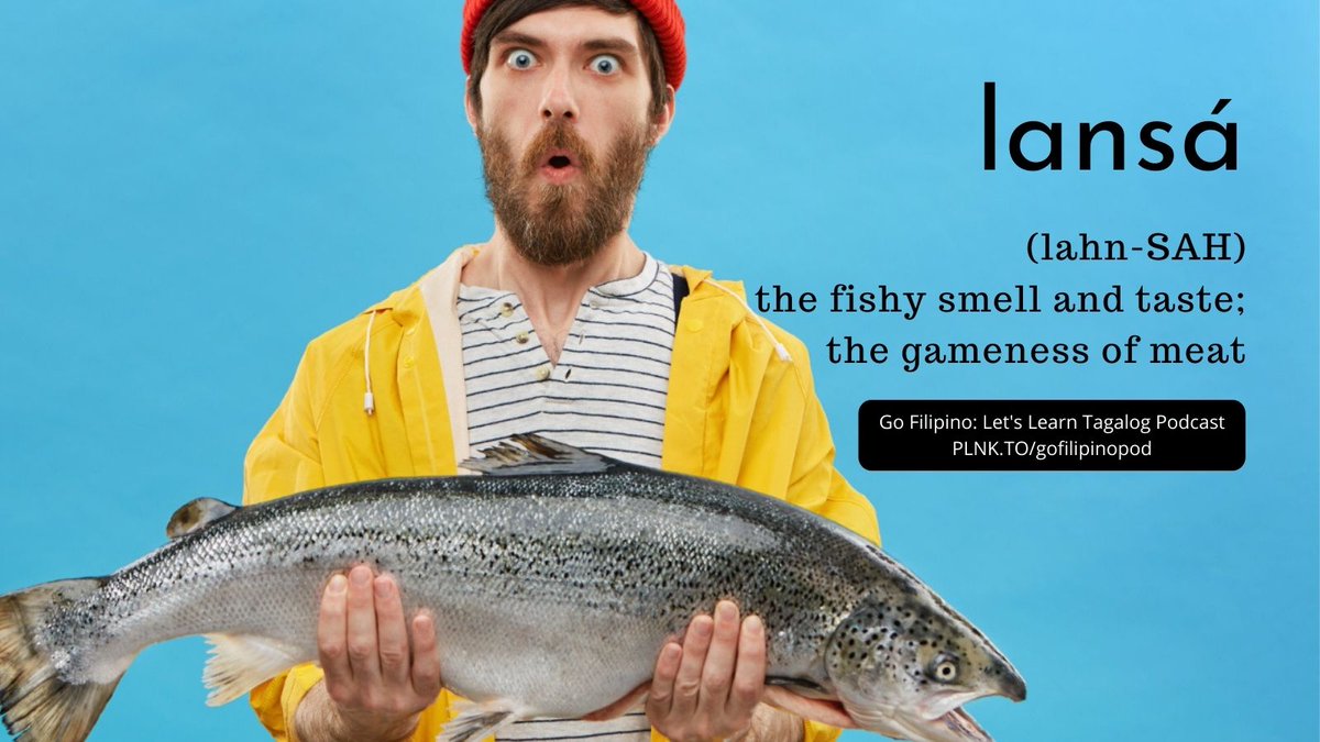 LANSÁ (lahn-SAH) | The fishy smell and taste; the gameness of meat

Lansá is usually associated with saltwater fish, shellfish, chicken, wild game, and even eggs.

Hindî akó mahilig sa malansáng isdâ. = I am not fond of (eating) fishy-smelling fish.