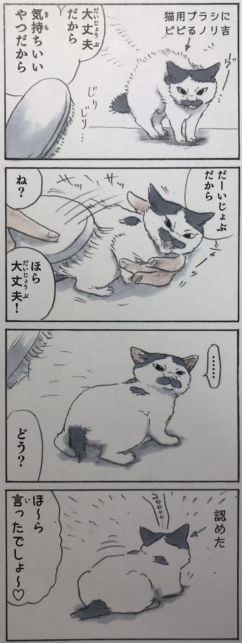 にごたろ 拾い猫のモチャ5 収録https T Co Ayaaxahhim T Co Jqqvhexhbu Twitter にごたろ 拾い猫のモチャ5 収録https T Co Ayaaxahhim T Co Jqqvhexhbu Twitter