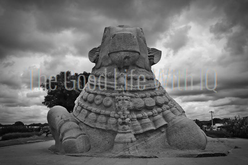 GoodLifeWithIQ's tweet photo. New image on the shop!
A low shot of the massive monolithic Nandi statue in Lepakshi during our day-trip from Bangalore in 2019.
Check it out: https://t.co/uGnhAOA1Nh
#travelphotography #stockphotography #blackandwhitephotography #travelinindia #traveltribe #TheGoodLifeWithIQ https://t.co/WzUceLbIkN