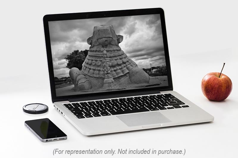 GoodLifeWithIQ's tweet photo. New image on the shop!
A low shot of the massive monolithic Nandi statue in Lepakshi during our day-trip from Bangalore in 2019.
Check it out: https://t.co/uGnhAOA1Nh
#travelphotography #stockphotography #blackandwhitephotography #travelinindia #traveltribe #TheGoodLifeWithIQ https://t.co/WzUceLbIkN