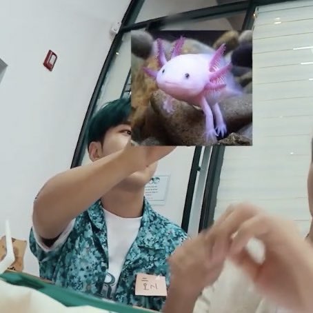 newoozidan's tweet photo. for hoshi, woozi is.. 😭 https://t.co/jssi12er8Z