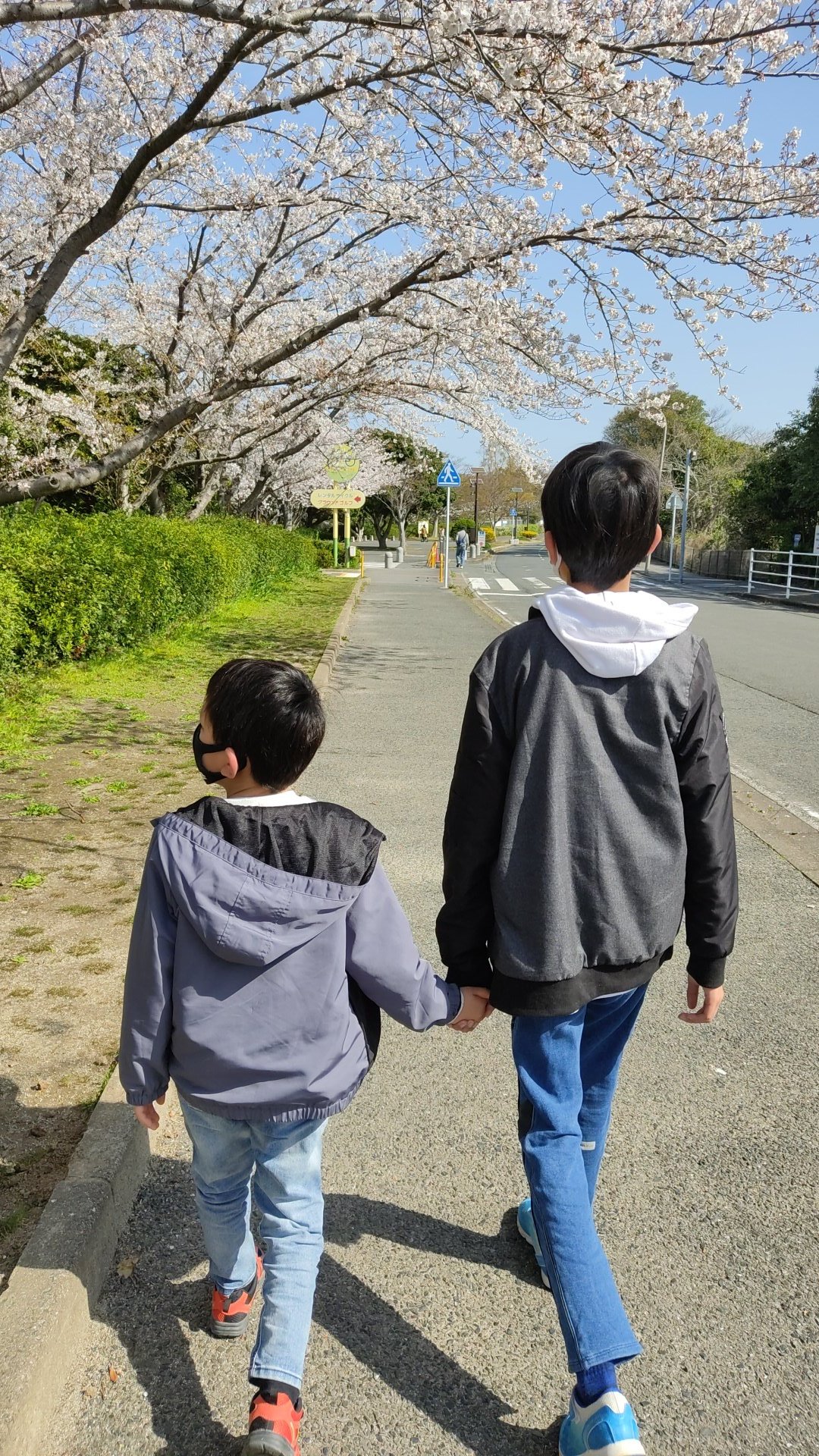 たいようｔｖ 福岡は桜満開 今日から春休みの子どもたち 土曜日出勤の振替休日だったのでグリーンパークの響灘ディノパークへ ディノパーク グリーンパーク 北九州 響灘ディノパーク 恐竜 春休み 花見 桜 子連れ お出かけ 遊具 世界最長の