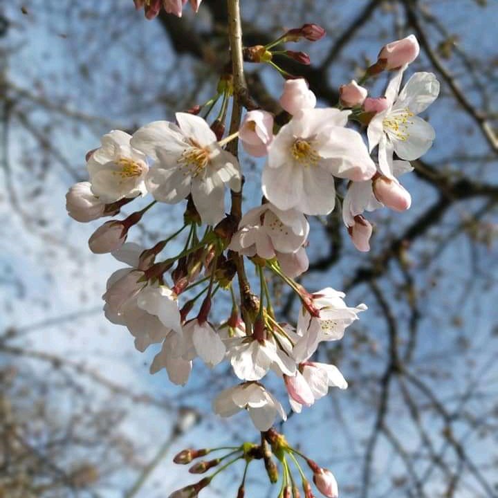 StevenM99230230's tweet photo. #NewProfilePic https://t.co/r2iD9YXsn1