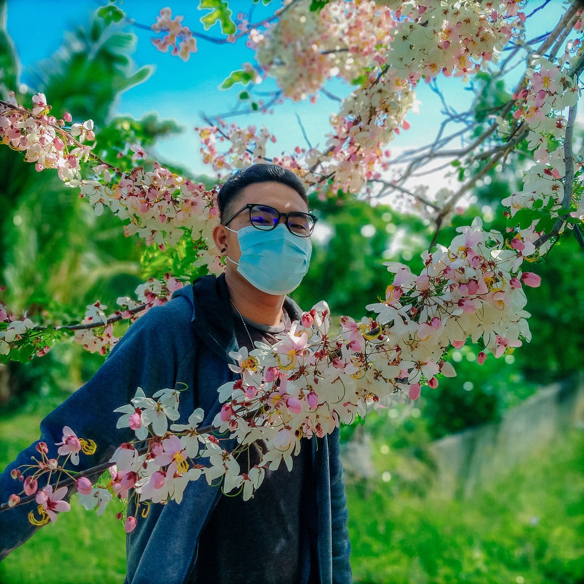 cebudailynews's tweet photo. JAPAN FEELS! 🌸

Here is the Philippine version of cherry blossoms that can be found in Maya, Daanbantayan, northern Cebu.

The Palawan Cherry is locally known as "Balayong" which is similar to that of Japan’s Sakura tree. | Photos courtesy of Michael Ramirez via Doris Mondragon https://t.co/qa6cdSkZum