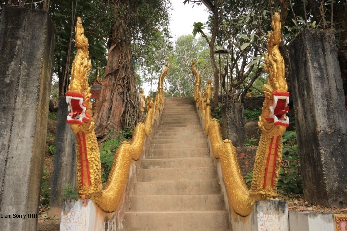 explorelaos tweet media