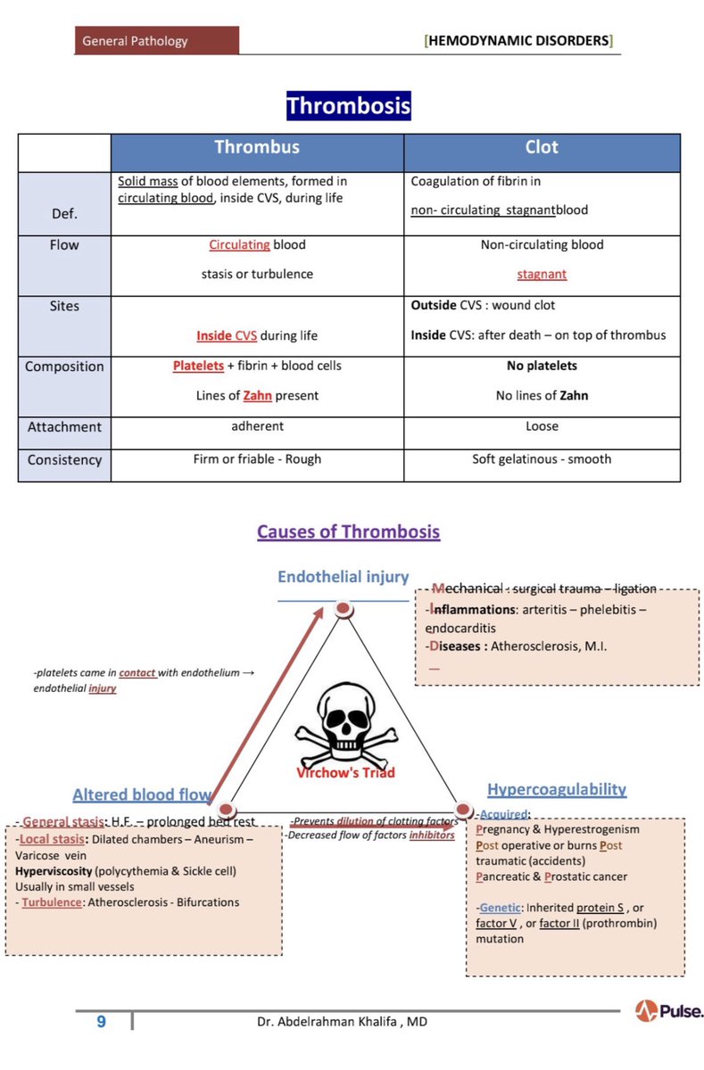 biochem48's tweet photo. ✅ ملخص جميل عن Thrombosis 🩸 https://t.co/EyVifNwdJq
