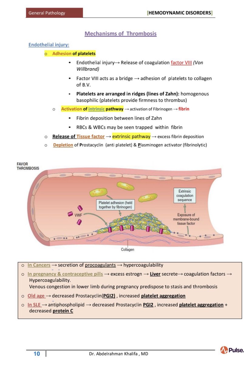 biochem48's tweet photo. ✅ ملخص جميل عن Thrombosis 🩸 https://t.co/EyVifNwdJq