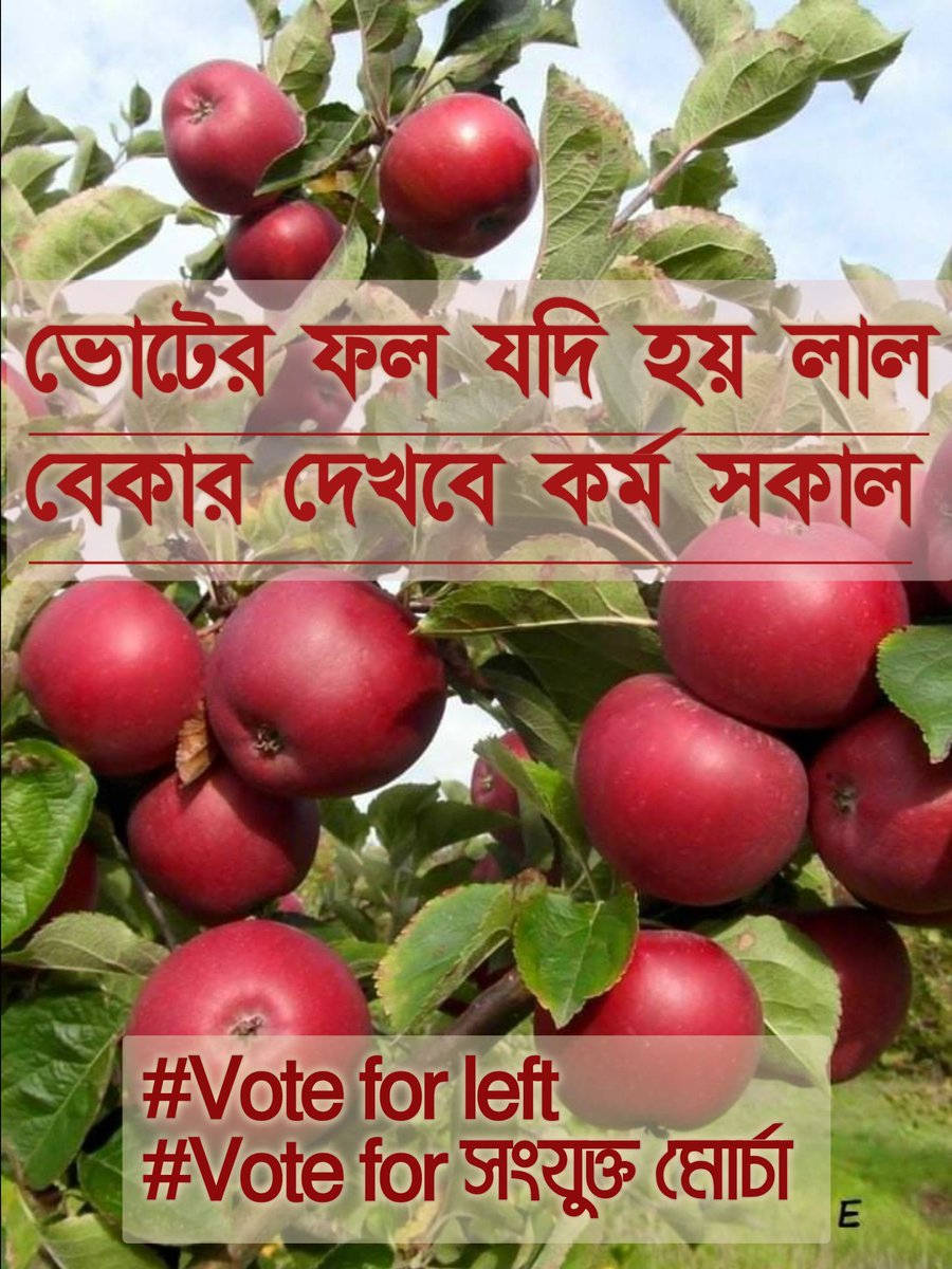 AnusreeTarafder's tweet photo. #StandWithCPIM #standwithসংযুক্ত মোর্চা @madhulina10 @kausikgang @SanatSa17623699 @mintu_raha @greymatters777 @jibeshsarkar @pkprantar1 @Kun3Pradip @SamitKabi @BiswanathDatt12 @AmiyaBis007 @pkprantar1 @kausikgang @CPIM_WESTBENGAL @ajoydasgupta https://t.co/DQH948tiPu