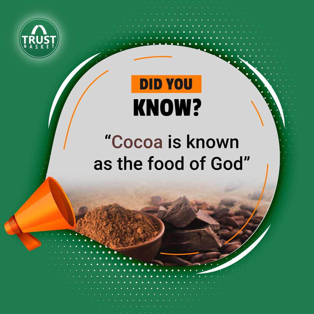 TrustBasket's tweet photo. Cocoa is a rich source of antioxidants &amp; flavonoids. That may impart antiaging properties.

#trustbasket #gardentips #gardening #plants #terracegarden https://t.co/pIWDDXKSxl