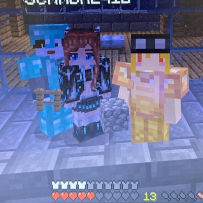 ねこさん Ne Ko マイクラ垢 Micr Neko01 Twitter