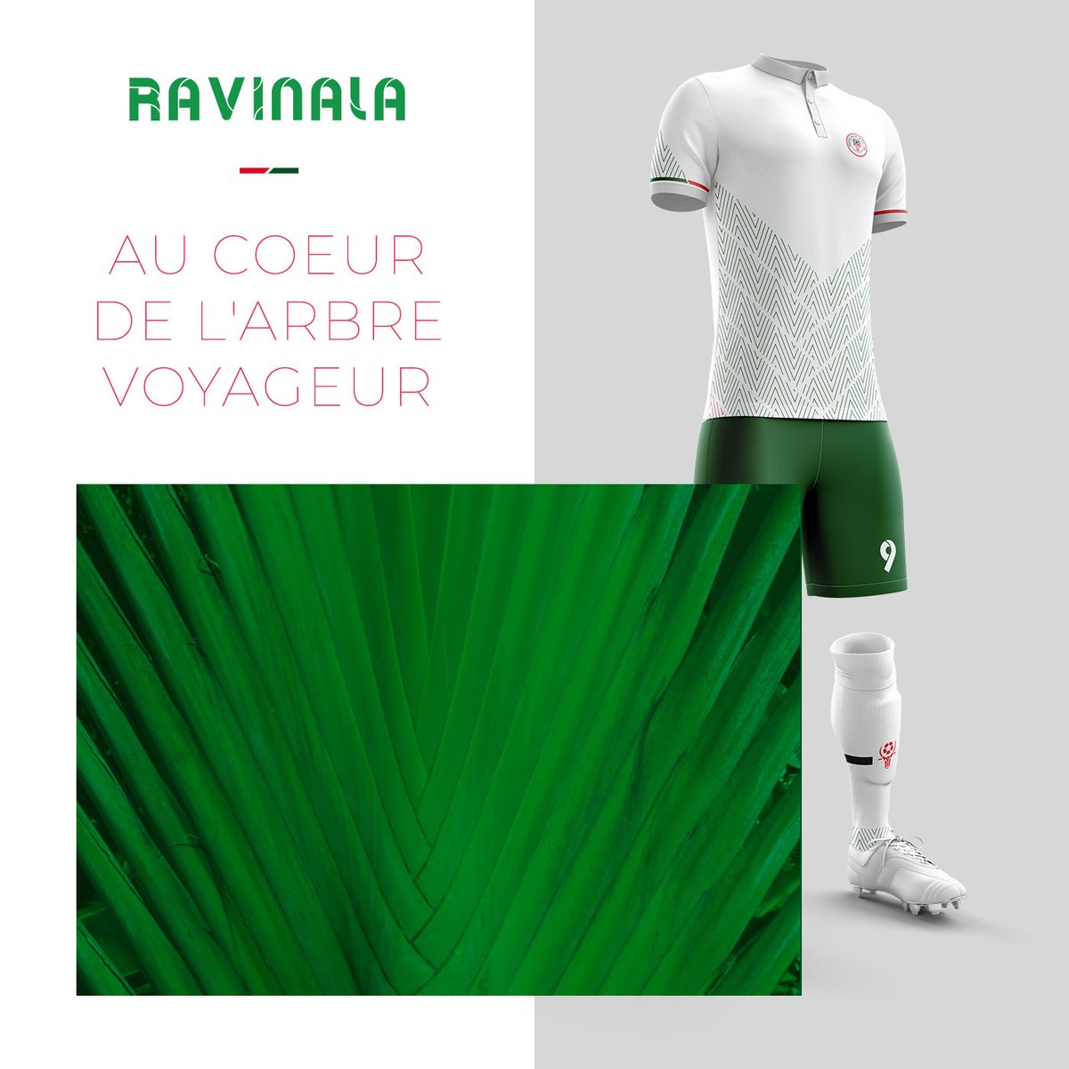 Romoosh_design's tweet photo. 🌴 #ravinala Au coeur de l'arbre voyageur
Dernière déclinaison pour les @Barea_Football
#jerseyconcept #can2022_qualifs #coupedafriquedesnations #jerseydesign #football #Barea https://t.co/RMymcr4k5O