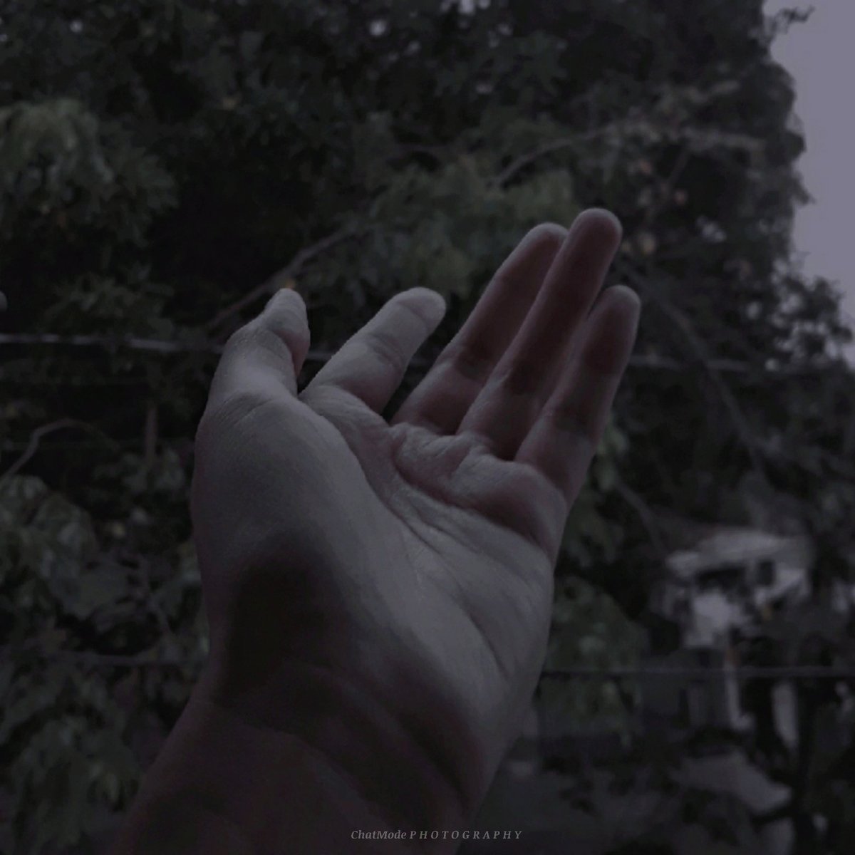 hananyangi's tweet photo. π§: 032421 #rain #chatmode #chatmodephotography #photography https://t.co/TIlcpOozf3