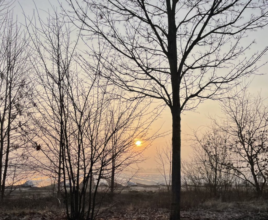 _fraukeentech_'s tweet photo. Sonnenaufgang über dem Folienmeer https://t.co/NflB4RuJ3p