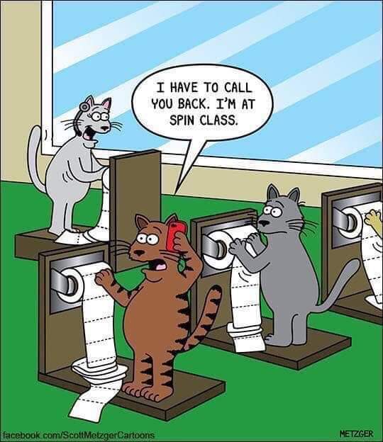Gooooood morning #woofstockers and welcome to Thursday the 25th of March 2021. Here is your #woofstockhumour for the day and it is for all you cats out there 🤣🐈🐾