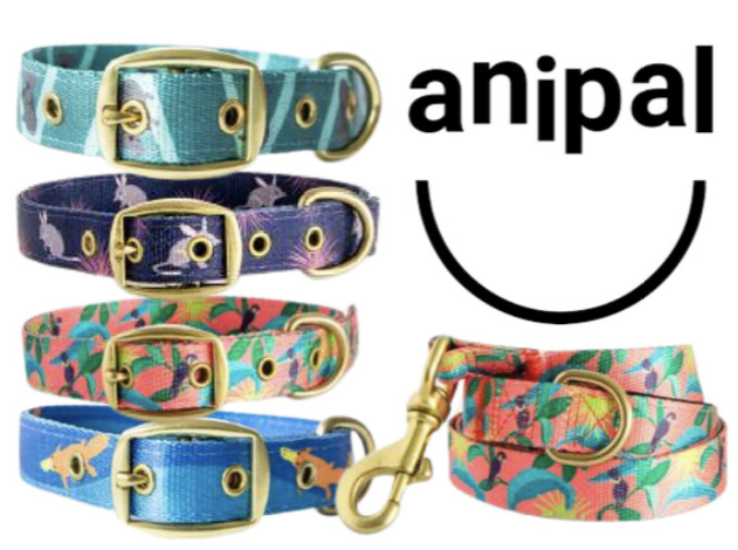 formypetz's tweet photo. AniPal, earth-friendly, recycled and sustainable dog collars and leads  | - https://t.co/tlGc7t7DL1 https://t.co/23V0ruXIQo