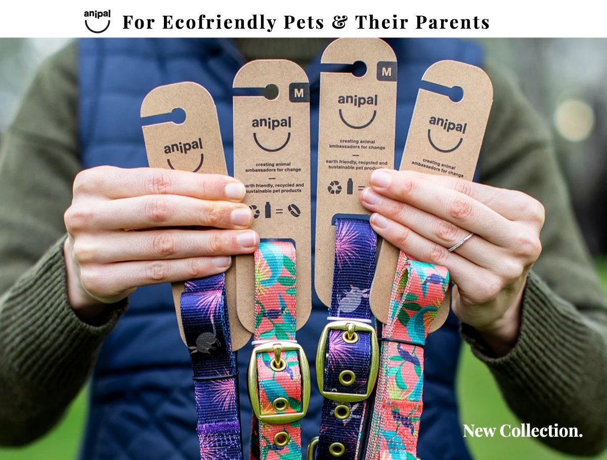 formypetz's tweet photo. AniPal, earth-friendly, recycled and sustainable dog collars and leads  | - https://t.co/tlGc7t7DL1 https://t.co/23V0ruXIQo