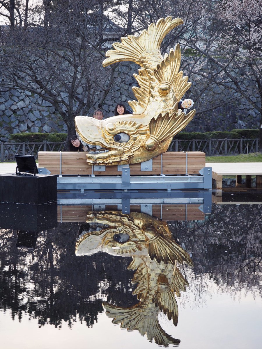 金鯱（C3）