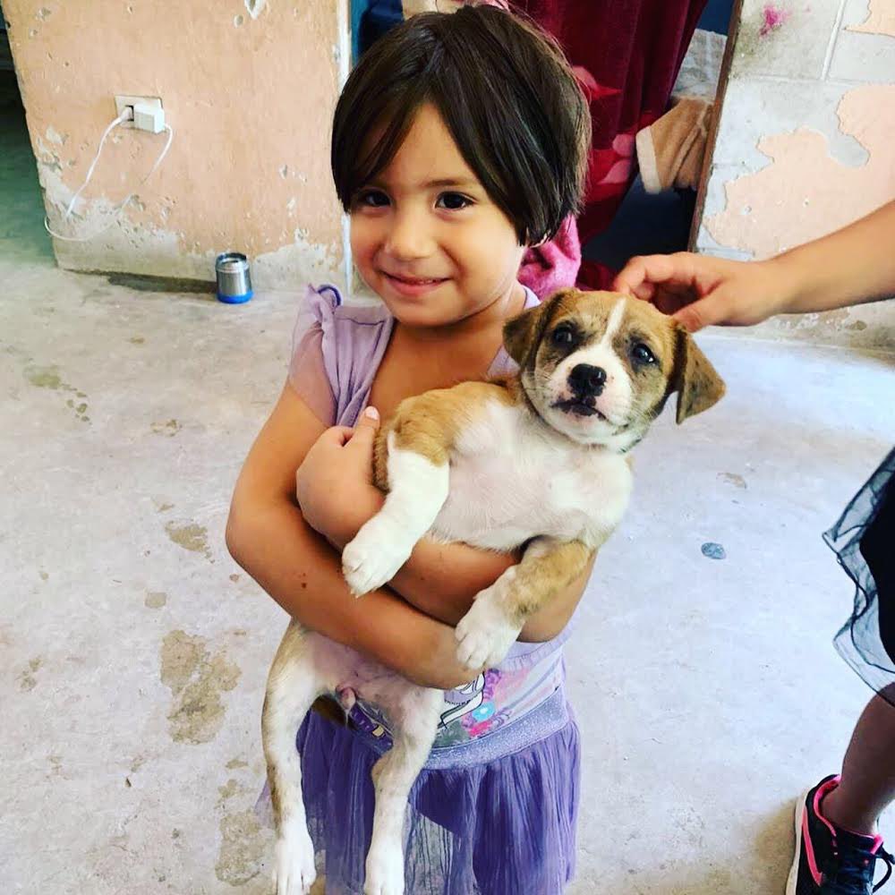 Avaaz (@avaaz) on Twitter photo El trabajo de <a href="/BorderKindness/">Border Kindness</a> no solo es necesario sino fundamental para miles de familias migrantes. Desde Avaaz nos sentimos honrados de nuestra colaboración conjunta y seguiremos apoyándolos en todo lo que sea necesario. #DefendTheDefenders El trabajo de <a href="/BorderKindness/">Border Kindness</a> no solo es necesario sino fundamental para miles de familias migrantes. Desde Avaaz nos sentimos honrados de nuestra colaboración conjunta y seguiremos apoyándolos en todo lo que sea necesario. #DefendTheDefenders