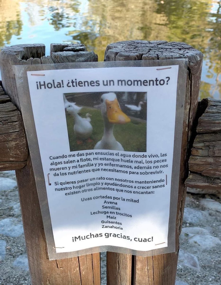 Uta… ¿No quieres vino rosado con tu ensalada Waldorf, pinche pato?
🧐