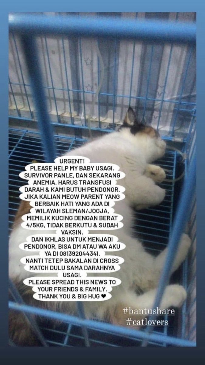 ZOO_FESS's tweet photo. Zoo URGENT untuk wilayah jogja dan sekitarnya https://t.co/PIsgsQ2PGD