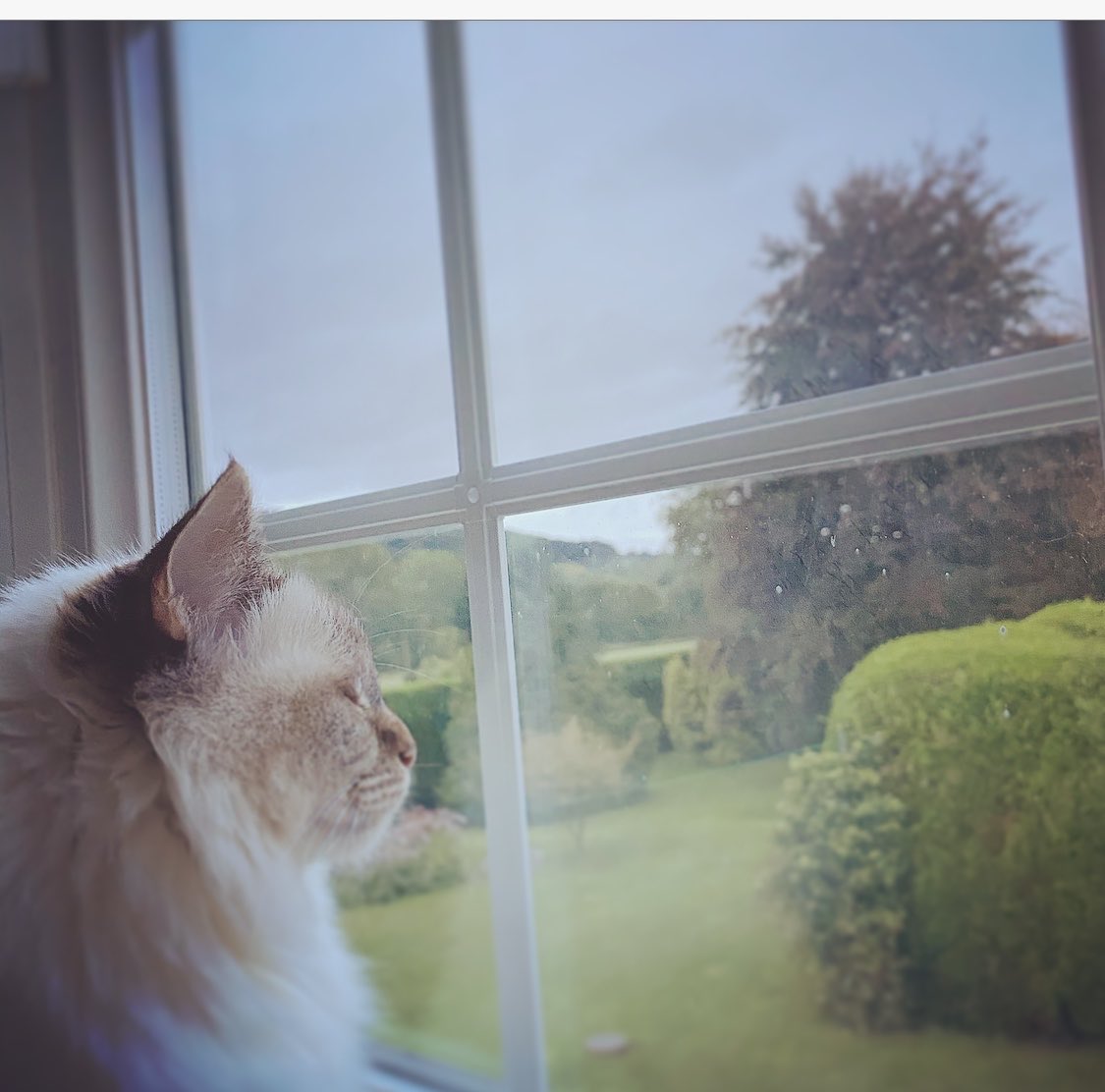 stephsaunders36's tweet photo. Quick meditation and reflection before we start our day of essay writing 🌸 #lovemornings #countrygirl https://t.co/Nphj44MYzE