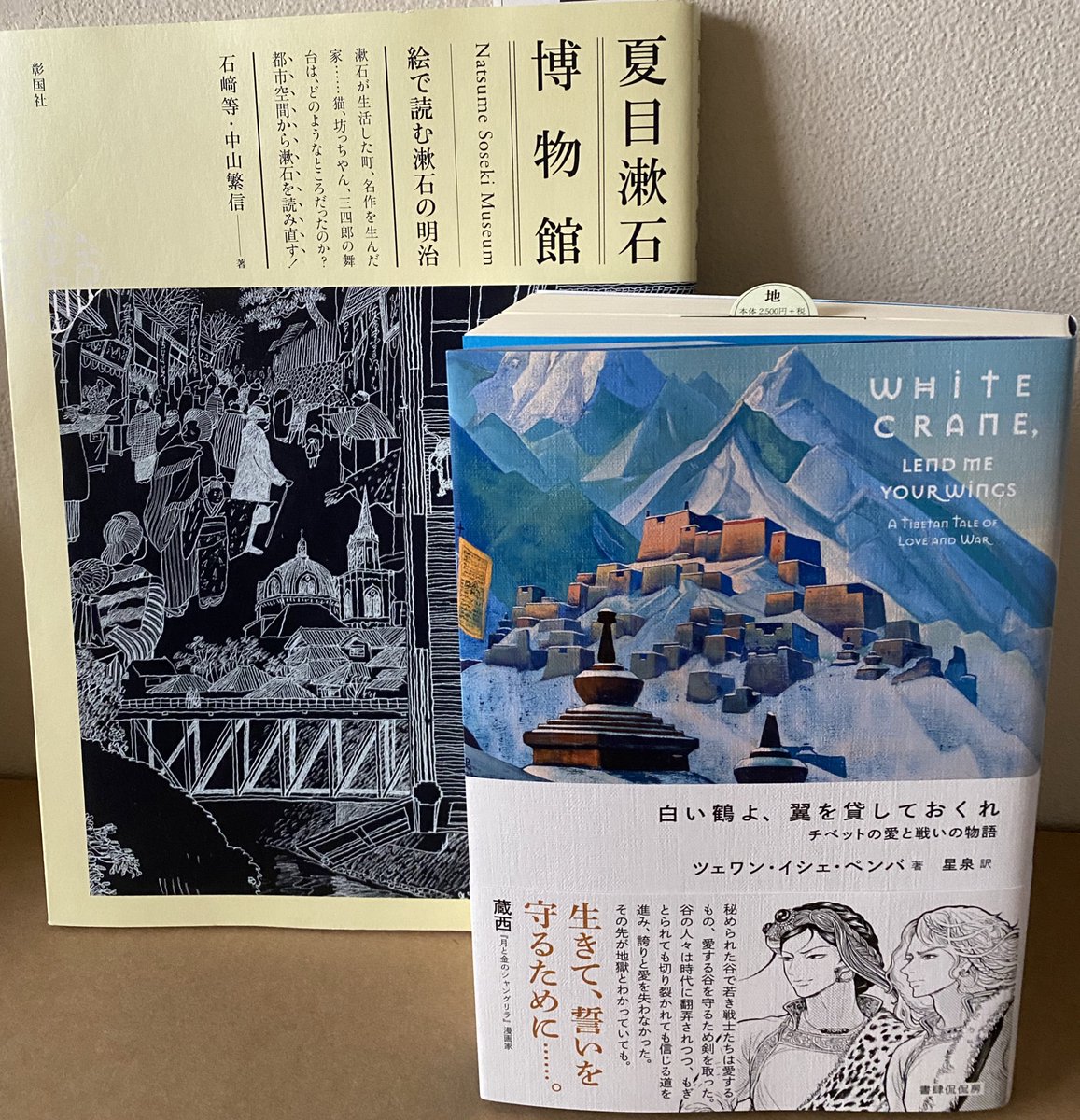Tamaka 本日のジャケ買い 夏目漱石博物館 は建築家になりたかったという漱石の作品世界と 漱石が生きた時代をペン画タッチの河童風イラストで再現しています 楽しい 白い鶴よ 翼を貸しておくれ はチベットの小説 辛いことがいっぱい起こり