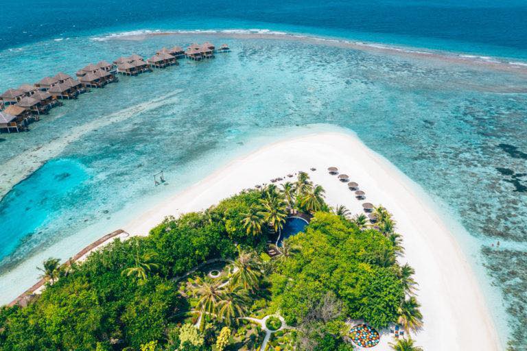 MAX_maldives's tweet image. 10% Extra discount on room rates at Adaaran Vadoo Resort Maldives

MaxMaldives.com  @MAX_maldives  #MAXMaldives info@MaxMaldives.com 

#Adaaran #Vadoo #Adaaran_Maldives #Adaaran_Vadoo #Adaaran_Resort #Adaaran_Vadoo_Maldives #AdaaranVadoo 

maxmaldives.com/hotel-details?…
