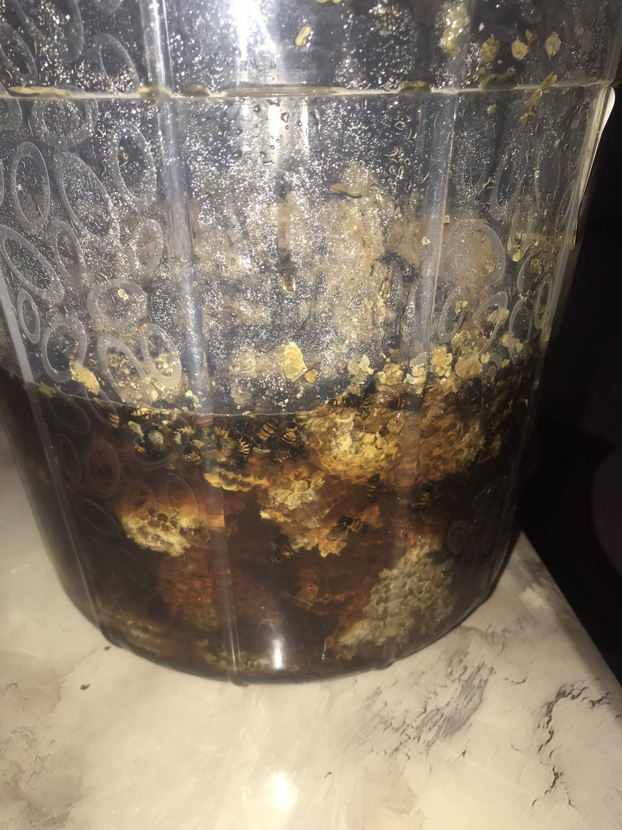 Jubilation and celebration all over Bansan-Osokom, Nsadop, Okundi, Isobendeghe, Duala-Osokom, Obubura, Ogep-Osokom Communities as our Bee Farm has produced the first Honey. Over 12 liters  was harvested today from 1 out of 10 Bee Hives. @WitEwout <a href="/NLinNigeria/">Netherlands 🇳🇱 in Nigeria 🇳🇬</a> <a href="/SDNNigerDelta/">#20YearsofImpact</a>