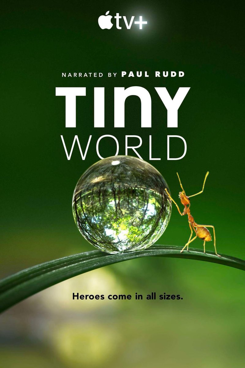 day 83 - yes, i did mean ant-man films yesterday. but... if you like films revolving around tiny life, paul rudd narrates a short docuseries about tiny animals and you should check it out! the promo for it is pretty cute too hehe