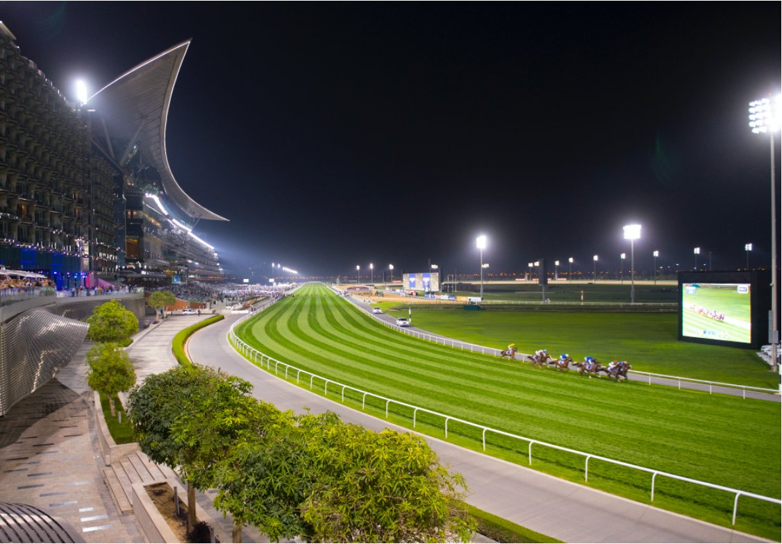 DubaiWorldCup's tweet image. This #DubaiWorldCup marks our silver jubilee. #MeydanRacing #TryDifferent