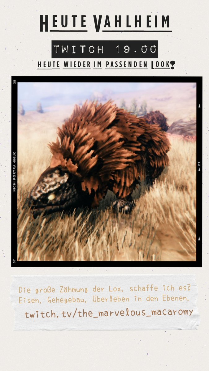 Kommt vorbei, <a href="/Valheimgame/">Valheim 🌟</a> heute um 19.00 in Wikinger Montur. Wir spielen mit Lox!