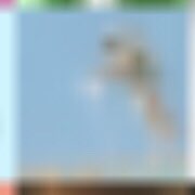 name tweet media