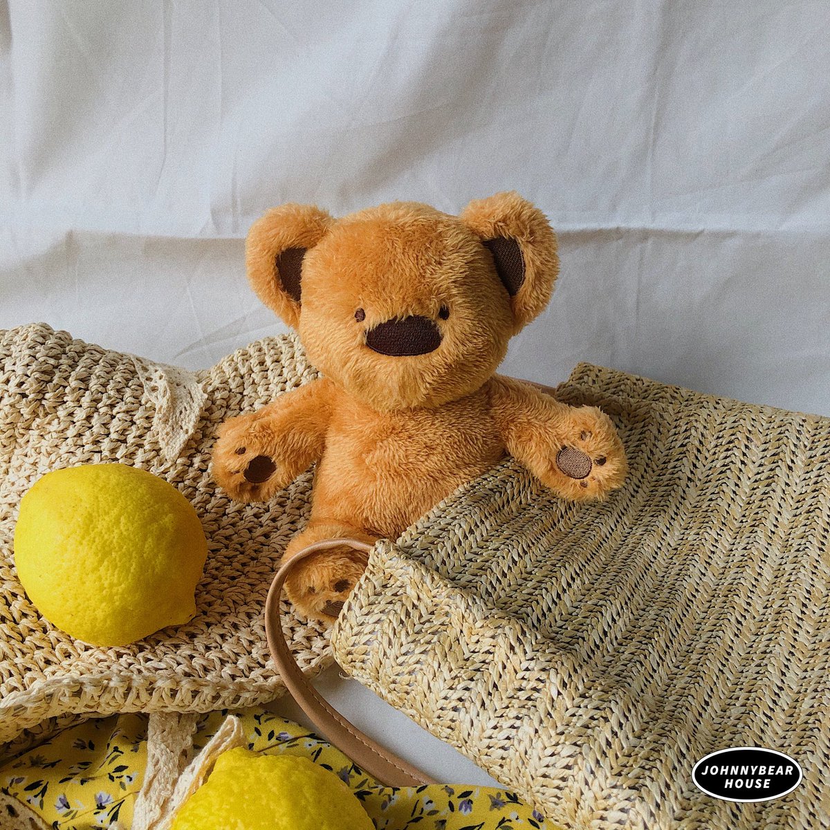 Hi BEARS 🧸 tweet media
