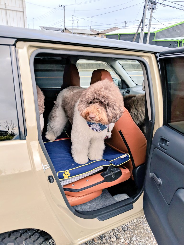 プロボックスカスタム