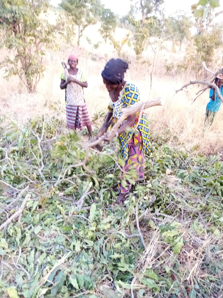 Africa rises above altruistic women Mali can be independent with women's governments