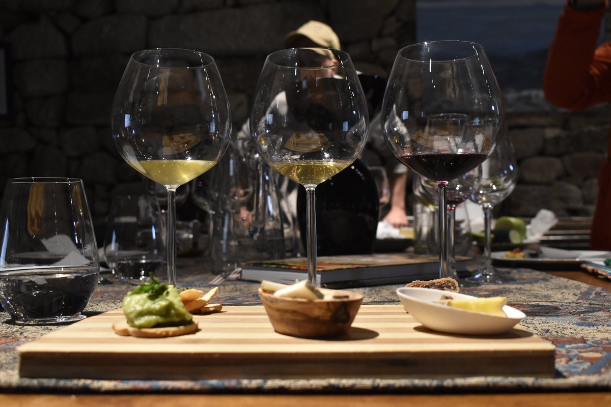 videssingulares's tweet photo. Yesterday tasting our 2020 vintage wines. We have been also pairing them with different flavours in order to find the perfect match to improve your experience with us #videssingulares #emeerreviñadores #valdomiño #vino #wine #nattywines https://t.co/H6gdgABCEO