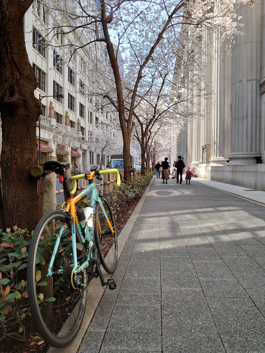 Mejiro1885's tweet photo. 【ビアンキバイクストア目白】
《スタッフライド》
お花見ライドのブログ
UPしました
↓
https://t.co/xiHlyc0Dl0

#Bianchi 
#ビアンキ
#Cereste
#チェレステ
#ridebianchi
#お花見ライド
#ビアンキバイクストア https://t.co/oNhCB1uLtw