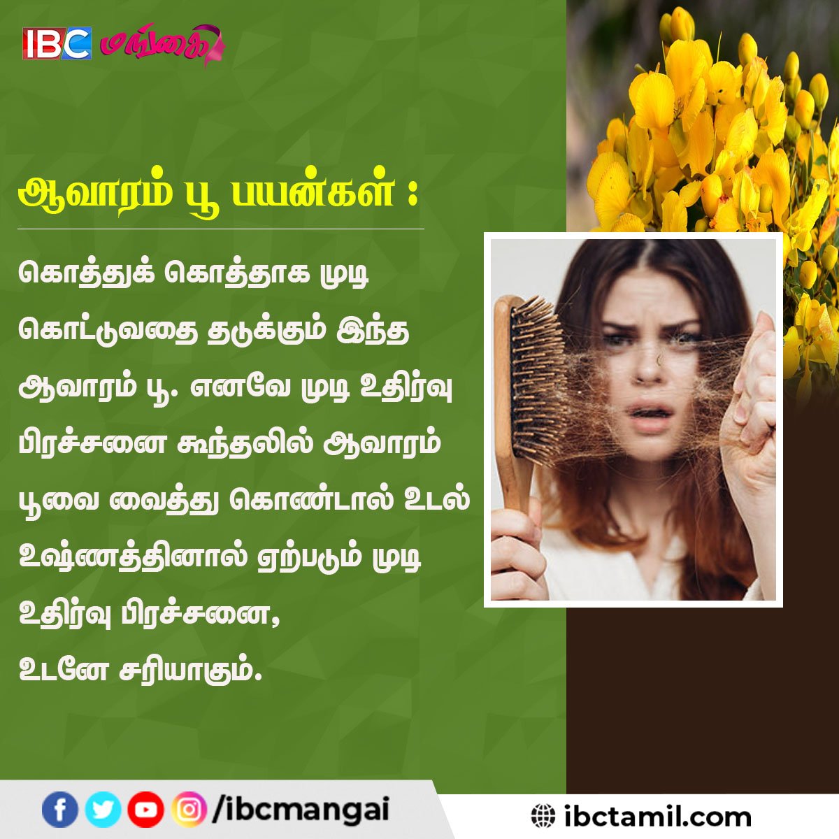 IbcMangai's tweet photo. அற்புத மருத்துவ பலன்களை அள்ளித்தரும் ஆவாரம் பூ
#Avarampoo #Health #TamilTips #HealthTips #IBCMangai https://t.co/xQJEZP8d6O