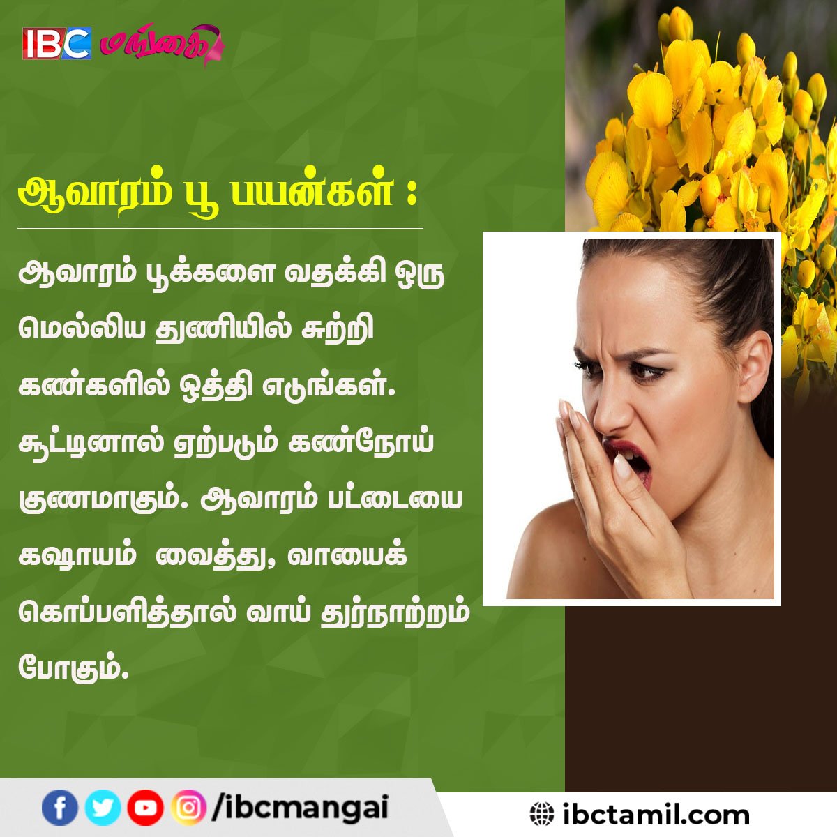 IbcMangai's tweet photo. அற்புத மருத்துவ பலன்களை அள்ளித்தரும் ஆவாரம் பூ
#Avarampoo #Health #TamilTips #HealthTips #IBCMangai https://t.co/xQJEZP8d6O