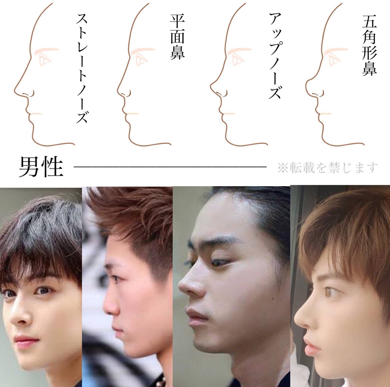 鼻整形の名医相談 小鼻縮小 鼻翼縮小 鼻尖形成 鼻中隔延長 鼻尖縮小 二重整形 プロテーゼの失敗 鼻の横顔シルエット図 女性版と男性版に分けました ストレートノーズ 自然に鼻筋が通っている 平面鼻 ナチュラルな童顔 アップ