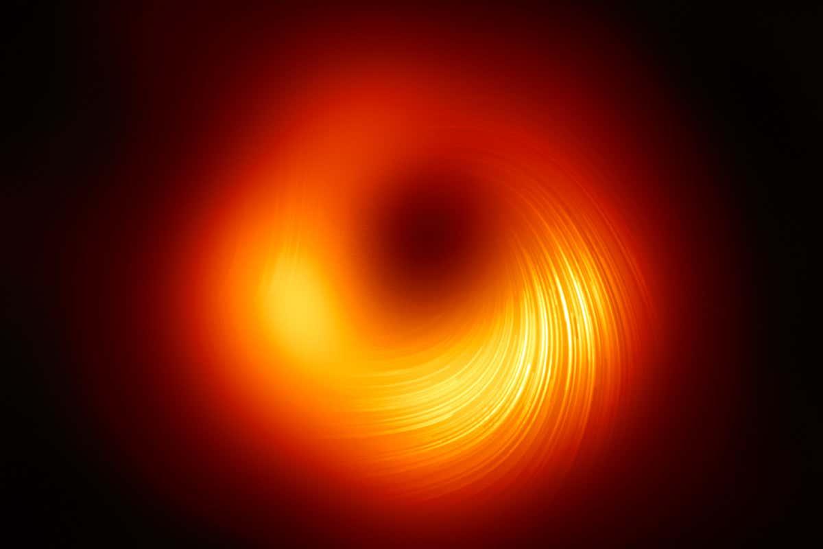 newscientist tweet picture