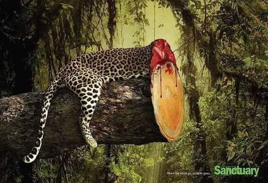 jemcaale's tweet photo. Sawiradn farriin nooce ah bay dirayaan https://t.co/KdRkGpfbeo