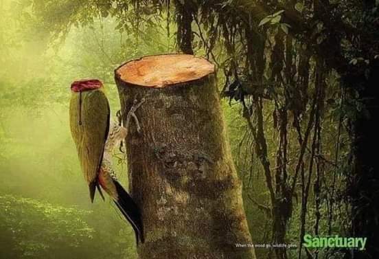 jemcaale's tweet photo. Sawiradn farriin nooce ah bay dirayaan https://t.co/KdRkGpfbeo