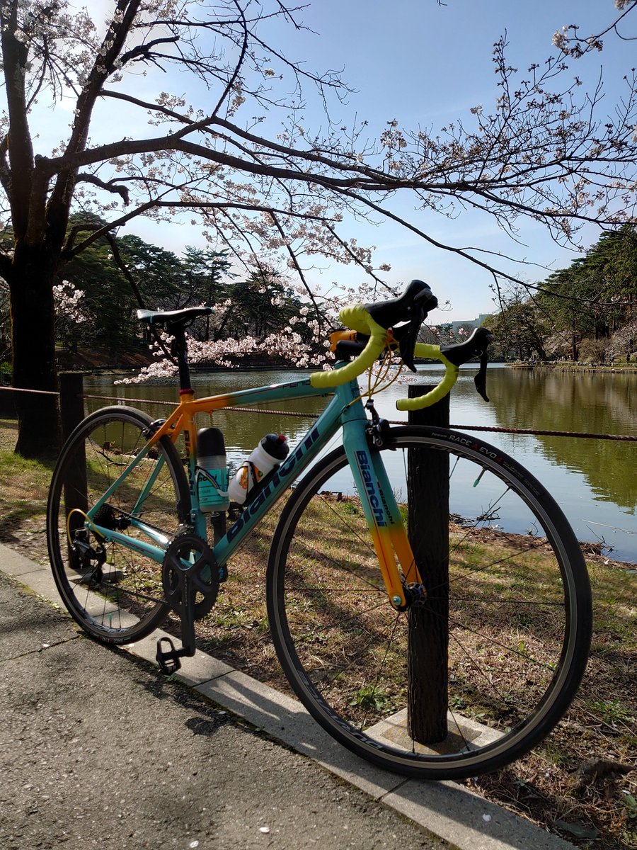 Mejiro1885's tweet photo. 【ビアンキバイクストア目白】
《スタッフライド》
お花見ライドのブログ
UPしました
↓
https://t.co/xiHlyc0Dl0

#Bianchi 
#ビアンキ
#Cereste
#チェレステ
#ridebianchi
#お花見ライド
#ビアンキバイクストア https://t.co/oNhCB1uLtw
