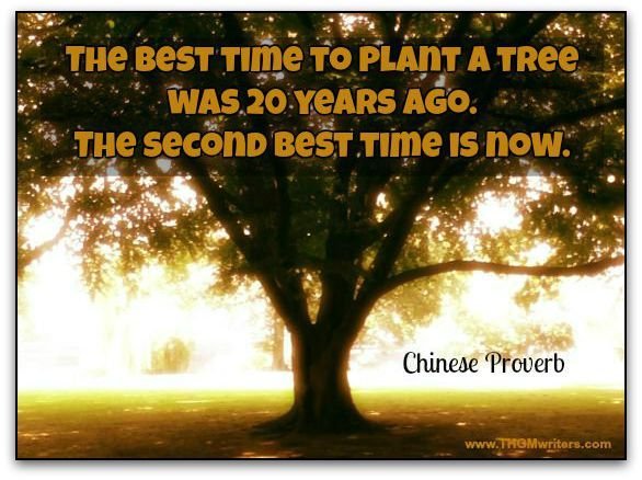 PerenoRobert's tweet photo. 🌞 That is one good thing about this world...there are always sure to be more #spring s 🕊 a
#springofhope for @helloLancWest & so say all of us #sentient souls in this the best of all possible worlds, said sans irony 🕊🕊🕊🕊 https://t.co/shAtRjO9TR